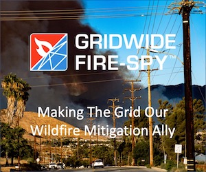 GRID20/20, Inc. at Electricity Forum