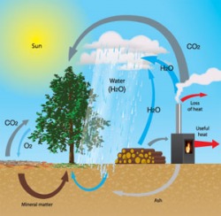 Biomass Renewable Energy