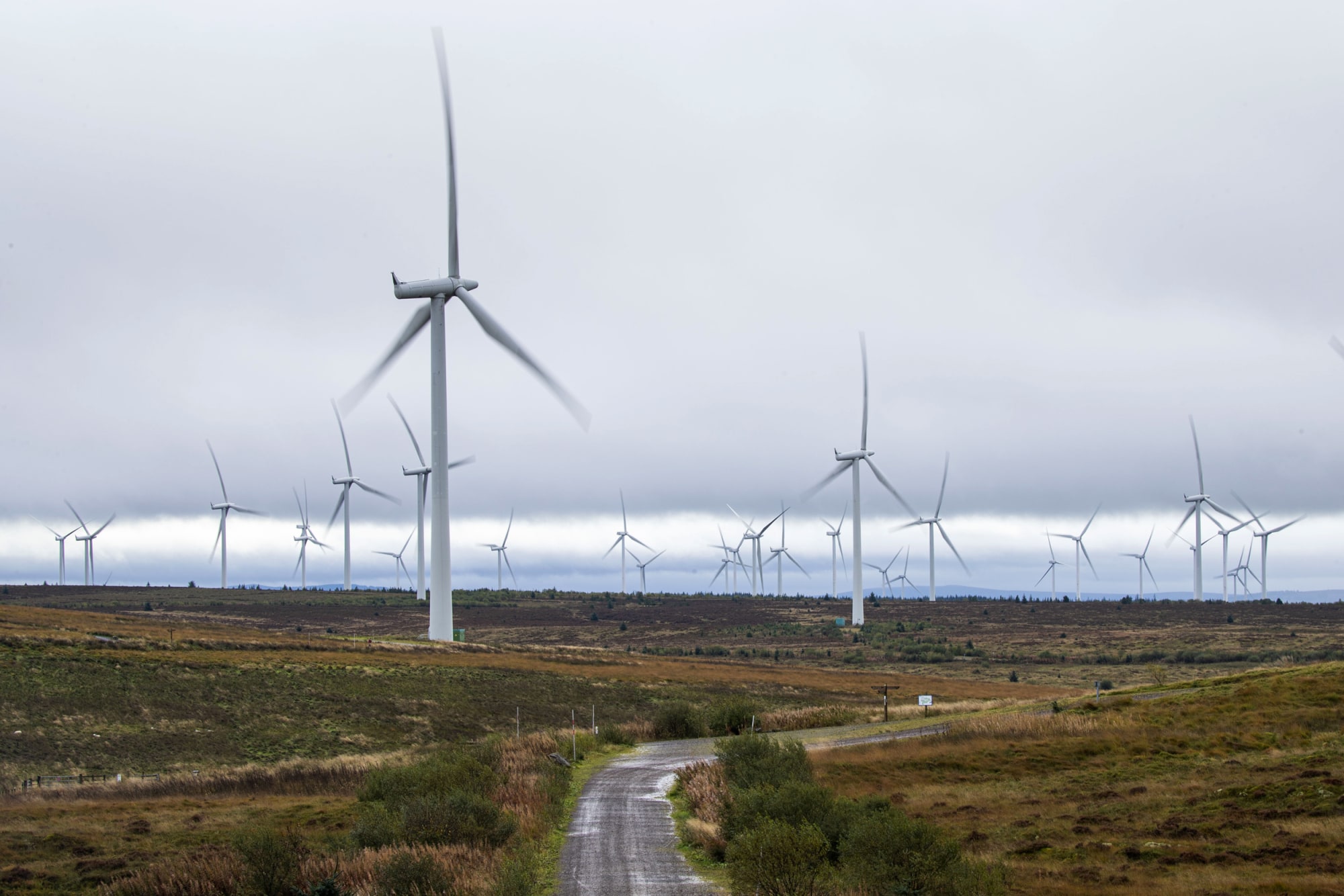 With 80 miles of trails for walking, cycling and horseback riding, Whitelee is the U.K.?s largest onshore wind farm.